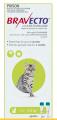 Christmas Sale Discounts on Bravecto Spot-On for Cats | VetSupply