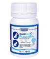 Boost Oral Hygiene with DentiCare PlaqueAid+ Powder for Dogs and Cats