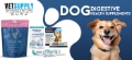 Best Dog Digestive Supplements for Gut Health