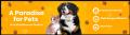 Buy Dog Supplies Online | Free Shipping | VetSupply