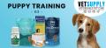 Dog Training Supply | Dog Training Leash | Dog Training Products | VetSupply | Starting From $17.12 +Free Delivery