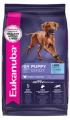 Eukanuba Large Breed Puppy Dry Dog Food