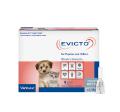 Evicto Spot-On Flea & Worm Treatment for Dogs