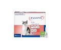 Evicto Spot On Flea & Worm Treatment for Cats - VetSupply