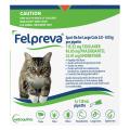 Felpreva Spot-On for Large Cats 5 to 8kg | VetSupply