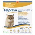 Felpreva Spot-On for Medium Cats 2.5 to 5kg | VetSupply