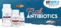 Fish Antibiotics for Healthy Aquariums