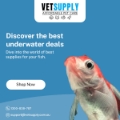 Healthy Fish Food