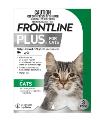Buy Frontline Plus Cat Online | Low Prices