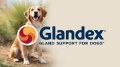 Glandex for Dogs: The Key to Healthy, Happy Pets