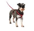 Halti - Comfy Harness