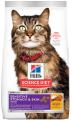 Hill's Science Diet Adult Sensitive Stomach & Skin Chicken & Rice Dry Cat Food