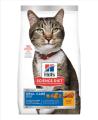 Hill's Science Diet Adult Oral Care Chicken Dry Cat Food