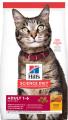 Hill's Science Diet Adult Chicken Dry Cat Food