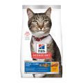 Hill's Science Diet Adult Oral Care Chicken Recipe Dry Cat Food