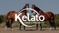 Kelato Horse Supplements