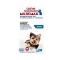 Milbemax Allwormer