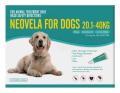 Buy Neovela (Selamectin) Flea and Worming For Dogs 20 - 40 Kg Aqua Online