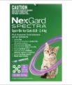 NexGard Spectra for Cats