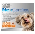 Black Friday Sale on Nexgard – Protect Your Dog