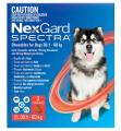 Nexgard Spectra Extra Large Dogs (30.1 - 60kg) Red