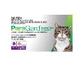Paragard Allwormer For Cats & Kittens 5kg 4 tablets