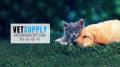 Pet Supplies, Food & Accessories Online | VetSupply