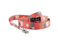 Dan & Sam Polyester Webbing Lead for Dogs - VetSupply