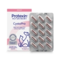Protexin Probiotics for Pets