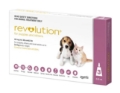 Revolution Selamectin For Puppies upto 2.5Kg