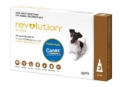 Revolution Selamectin For Small Dogs 5.1 To 10Kg