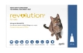 Revolution (Selamectin) for Large Cats