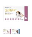 Revolution Flea and Tick Control for Cats