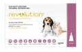 Revolution (Selamectin) For Kittens (Pink)