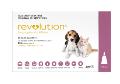 Revolution Flea and Tick Control for Cats | VetSupply