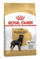 Royal Canin Rottweiler Adult Dry Dog Food - VetSupply