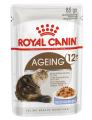 Advance Healthy Ageing Medium Breed Dog Dry Food (Chicken & Rice)
