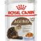 Royal-Canin-Ageing-Jelly