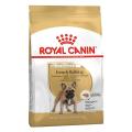 Royal Canin French Bulldog Adult Dry Dog Food