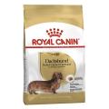 Royal Canin Adult Dachshund Dry Dog Food