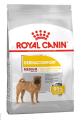 Royal Canin Dermacomfort Medium Adult Dry Dog Food