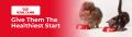 Royal Canin Dog And Cat Food | Lowest Price