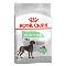 Royal-Canin-Maxi