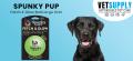 Buy SPUNKY PUP FETCH & GLOW BALL Online