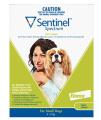 Sentinel For Dogs