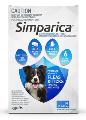 Simparica Chewables 40MG for Medium Dogs 10.1-20KG (BLUE)
