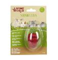Living World Nibbler Wood Loofah Strawberry Chew - Small Animals
