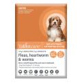 Talentcare Spot-On Dog Fleas, Heartworm & Worms Treatment | VetSupply