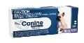 Value Plus Canine All Wormer Tablets | VetSupply