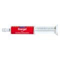 VetSense Energel for Dogs and Cats 60 ml | VetSupply